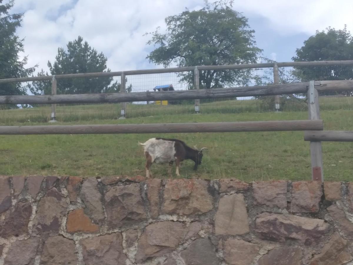 La Casa Di Grace Nella Valle Incantantata Carano  Luaran gambar